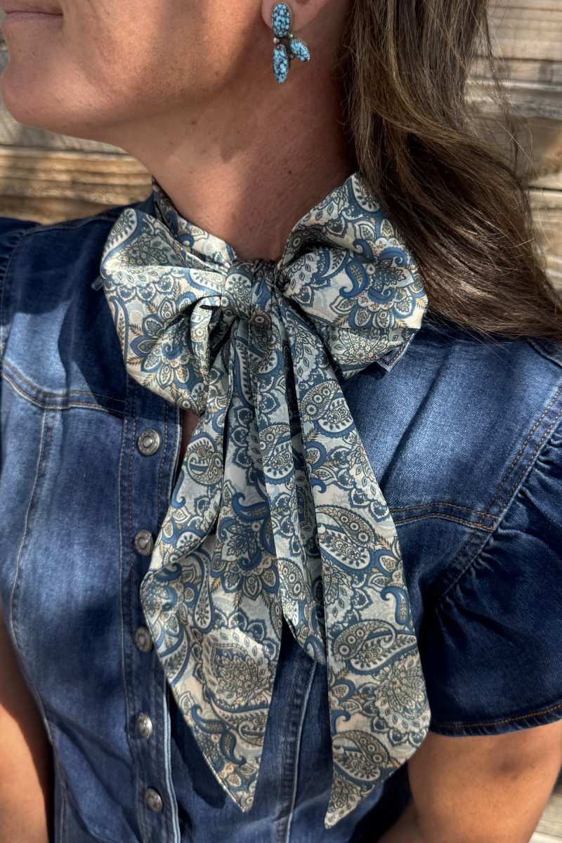 Dusty Denim Paisley Latigo: O/S