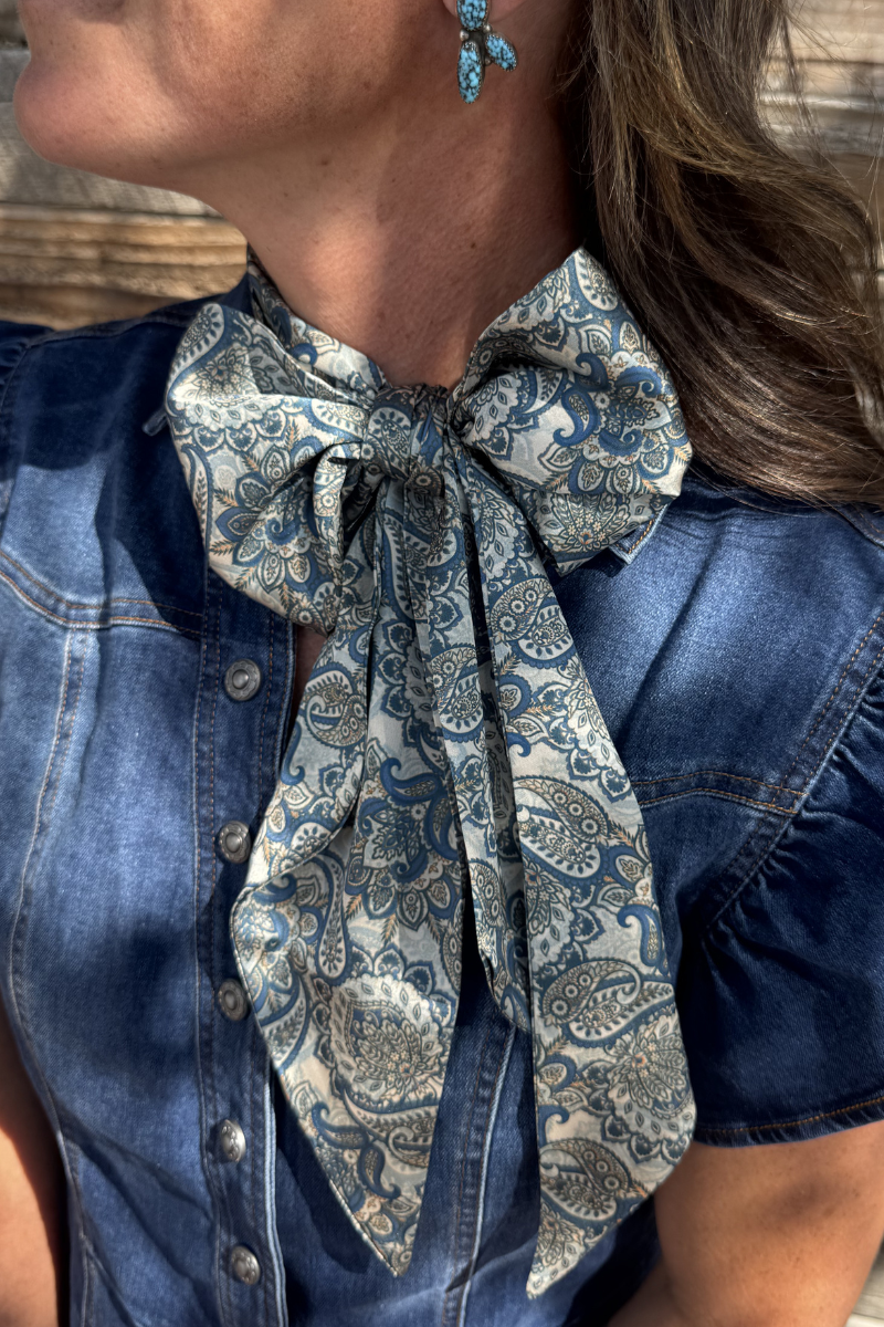 Dusty Denim Paisley Latigo: O/S